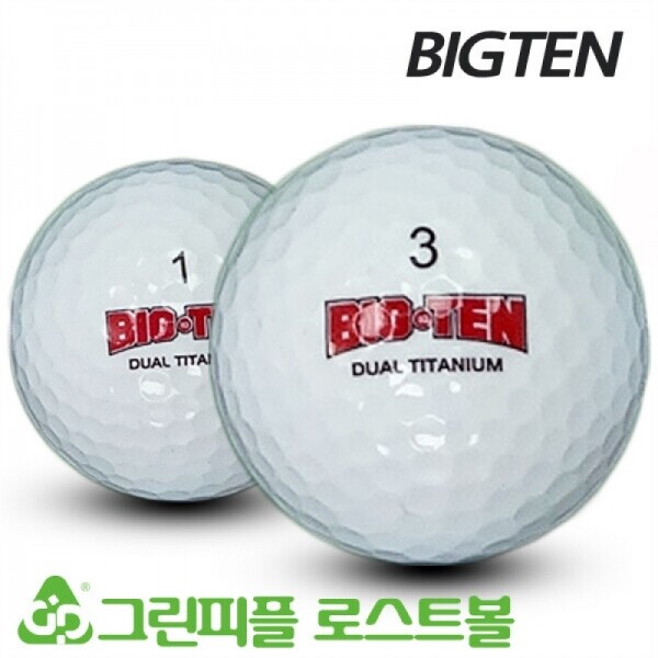그린피플,빅텐 듀얼 티타늄 2피스 A-급 로스트볼 16개