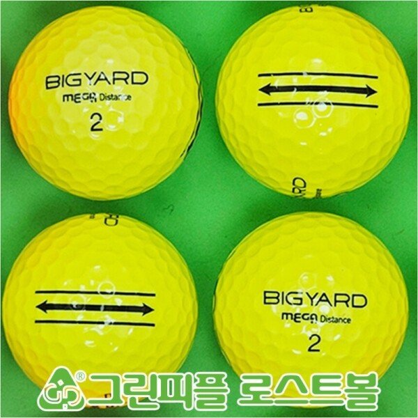 그린피플,빅야드 메가디스턴스 컬러혼합 2피스 B급 로스트볼 16개