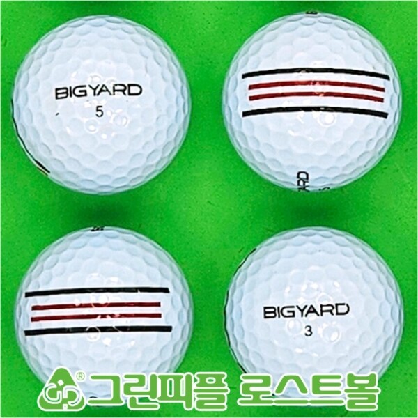 그린피플,빅야드 스트레이트 화이트 2피스 B급 로스트볼 16개 (이미지없음)